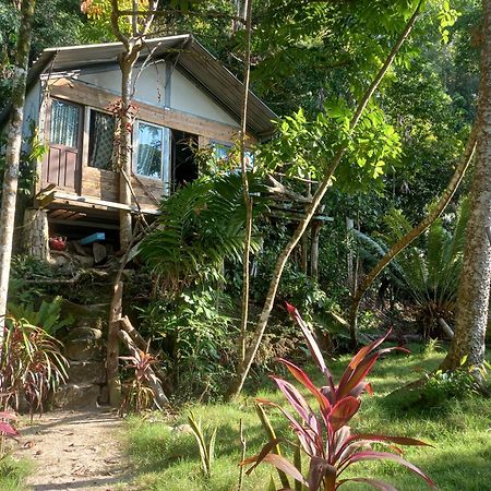 Sumatra Ecolodge Sungaipisang Exterior foto